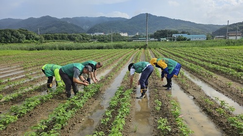 메인사진