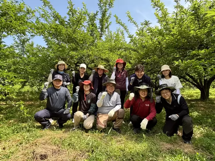 메인사진