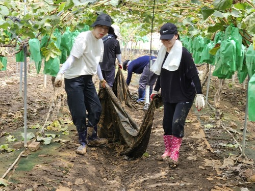 메인사진