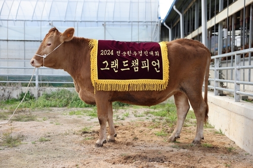 메인사진